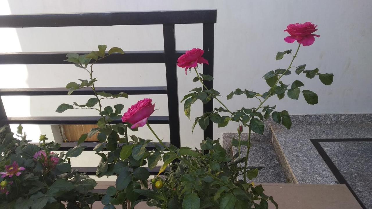 Mai Homestay *